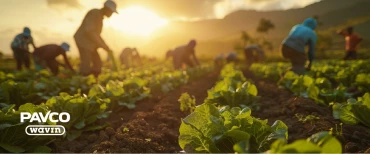 ¿Cómo cotizar tubería para riego agrícola en proyectos de riego profesional?